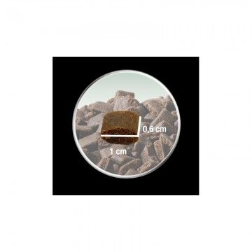 Platinum Natural Lamb & Rice