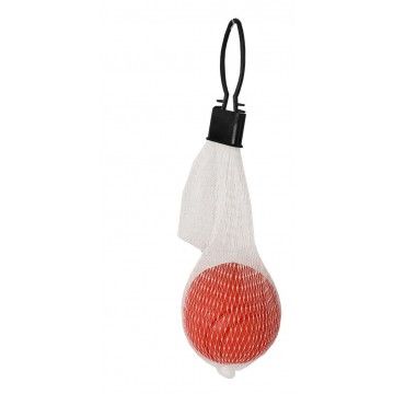 Pelota de goma maciza