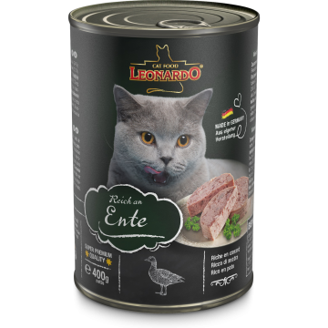 Trivial Marca comercial salchicha Comida húmeda para gatos: latas, tarrinas y sobres