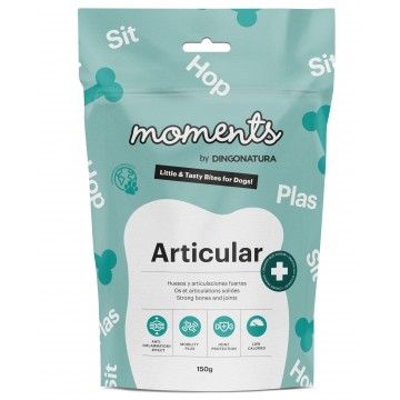 Moments Dog Funcionales Articular