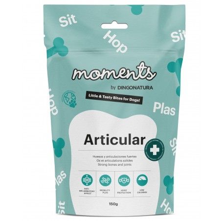 Moments Dog Funcionales Articular
