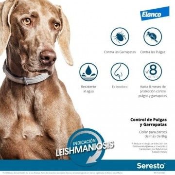 Seresto Collar Perros + 8 Kg / 70cm