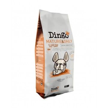 Dingo Mature & Daily