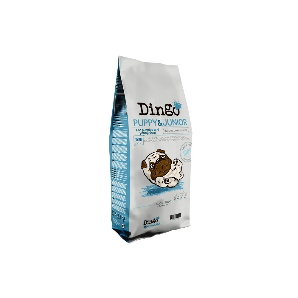 Dingo Puppy & Junior