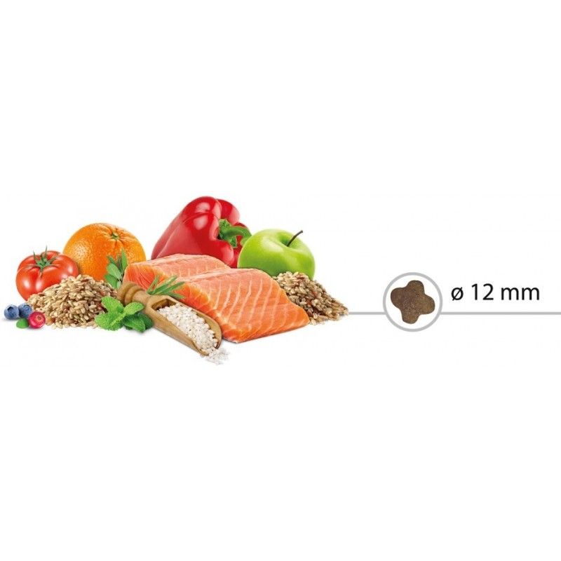Picart Select Adult Mini Sensitive Salmon & Rice
