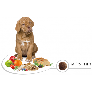 Picart Select Puppy Maxi Chicken & Rice