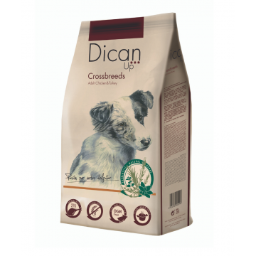 Dican Up Cross Breeds 14 kg