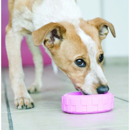 KONG Puppy Tires