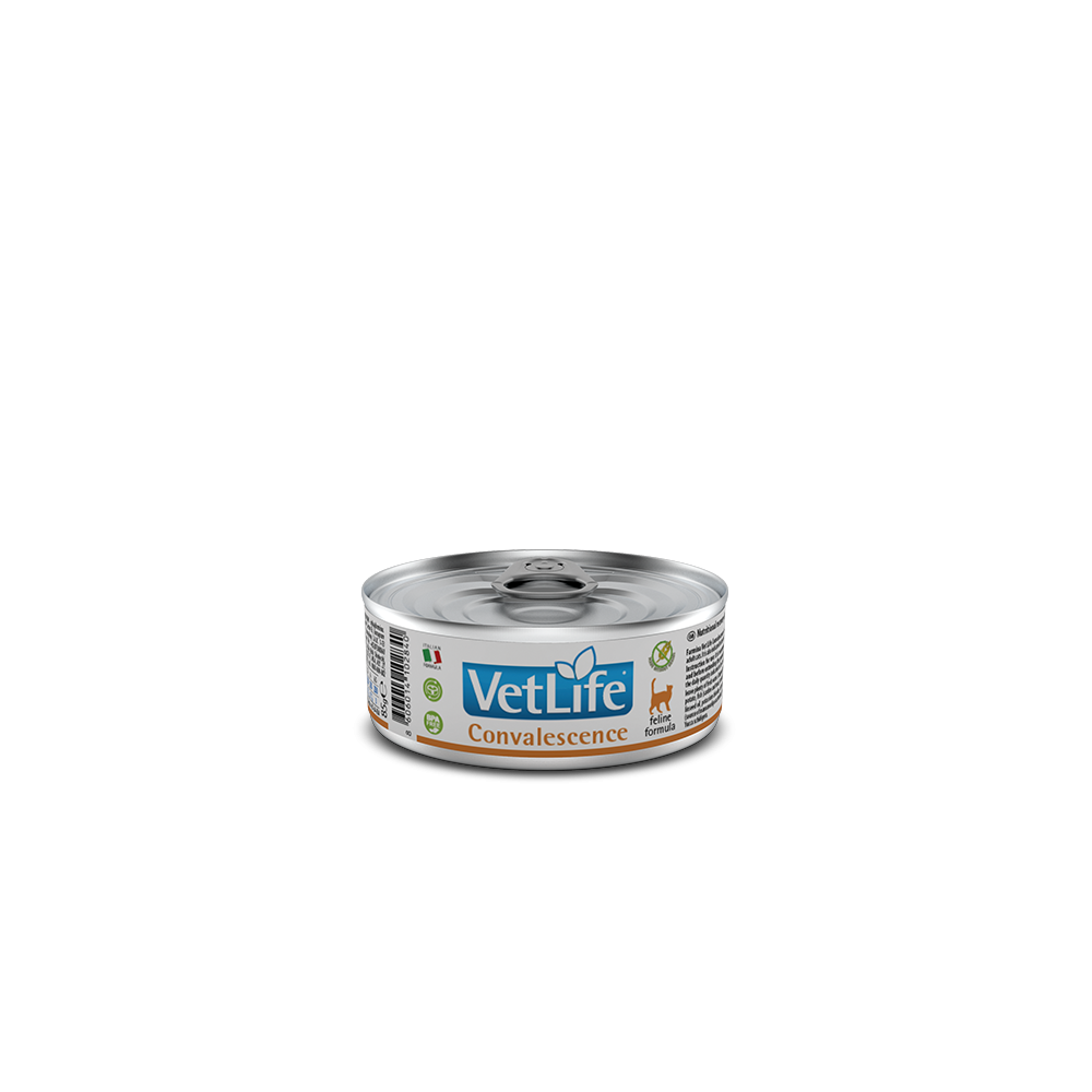 Farmina Vet Life Cat Convalescence 85gr