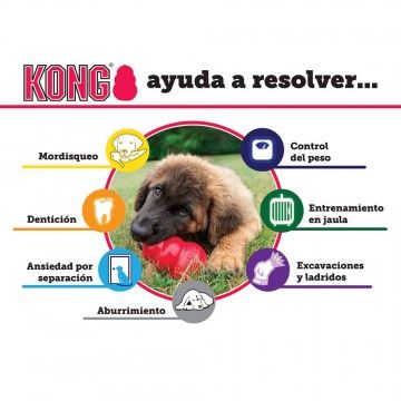 KONG Classic Red