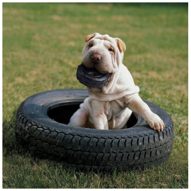 Juguete interactivo con rueda para perro, juguete divertido para perro,  cachorros y gatos, productos para mascotas