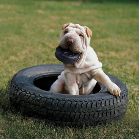 KONG xtreme TYRES Rueda mordedor Extreme para Perros