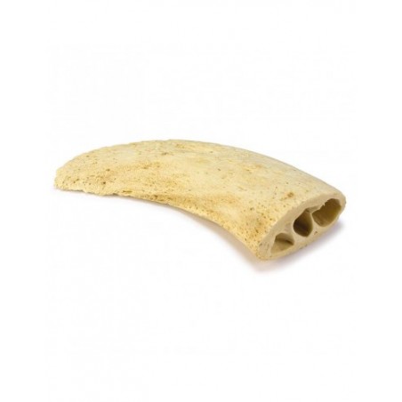 Arquivet Núcleo de Cuerno De Búfalo
