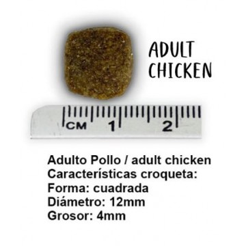TAMAÑO CROQUETA Be Fresh Adult Pollo