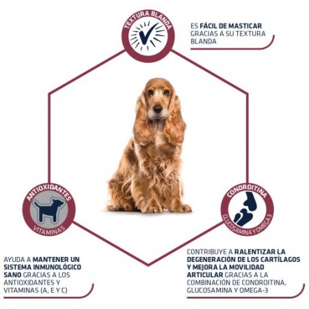 Advance Snacks +7 Years para perros