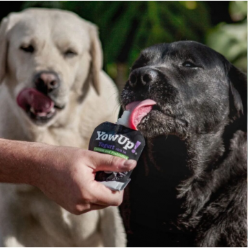 YowUp! Yogurt Natural Prebiotics para Perros 115 gr