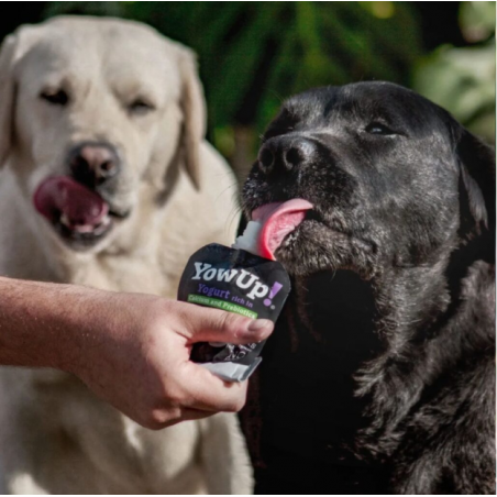 YowUp! Yogurt Natural Skin & Hair para Perros 115 gr