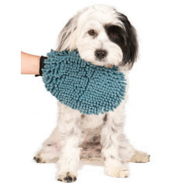 DGS Dirty Dog Grooming Mitt. Manopla Absorbente