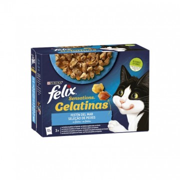Felix Sensations sobres en Gelatina de Salmón con Gambas y Trucha