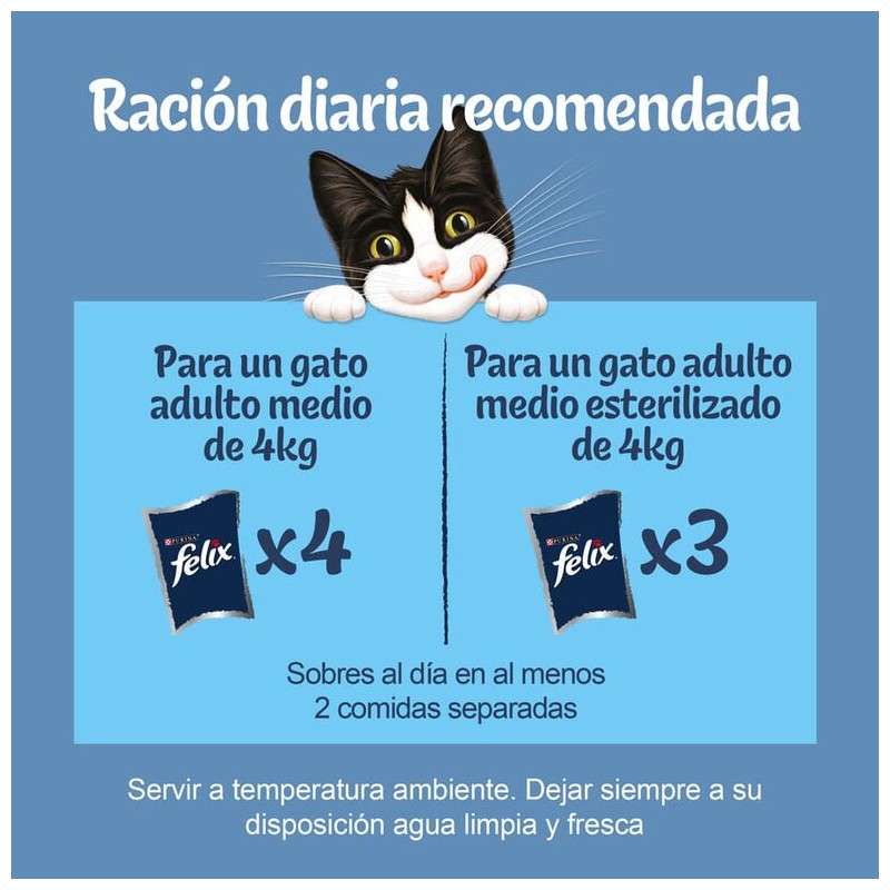 Opiniones sobre Schesir Comida húmeda en gelatina para gatos adultos y  gatitos - varios sabores