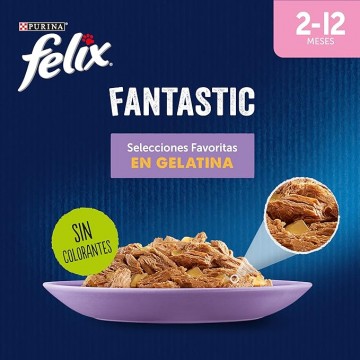 Felix Fantastic Junior sobres en Gelatina para Gatitos