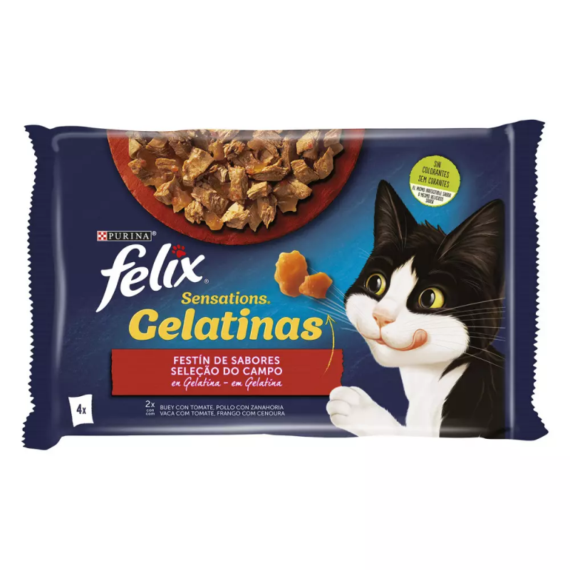 Schesir Comida húmeda en gelatina para gatos adultos y gatitos - varios  sabores