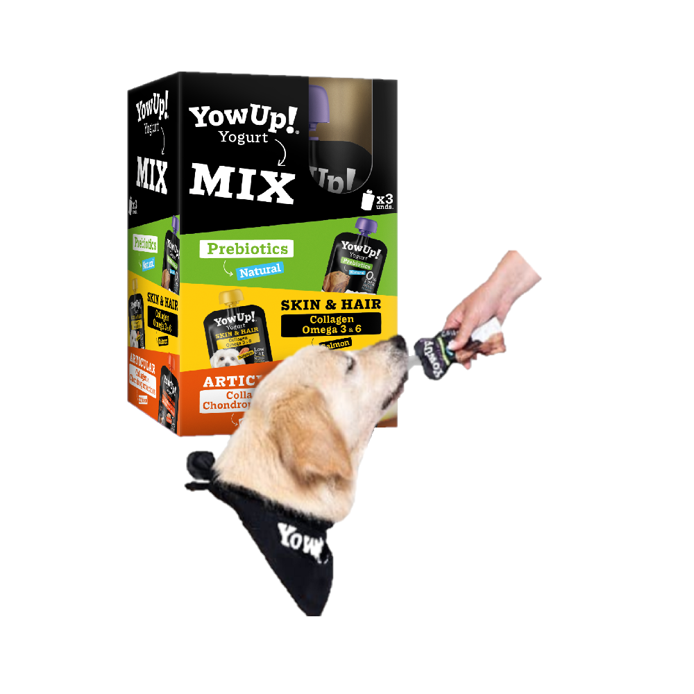 YowUp! Mix. Pack con 3 Yogures Naturales para Perros 115gr