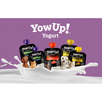 YowUp! Mix. Pack con 3 Yogures Naturales para Perros 115gr