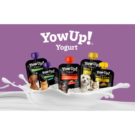 YowUp! Mix. Pack con 3 Yogures Naturales para Perros 115gr