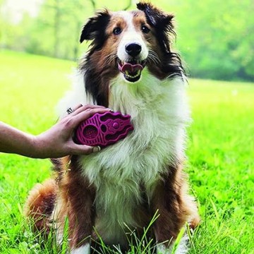 KONG Cepillo de Goma Perros Zoom Groom
