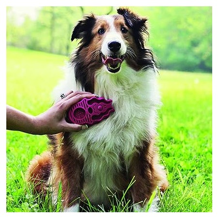 KONG Cepillo de Goma Perros Zoom Groom