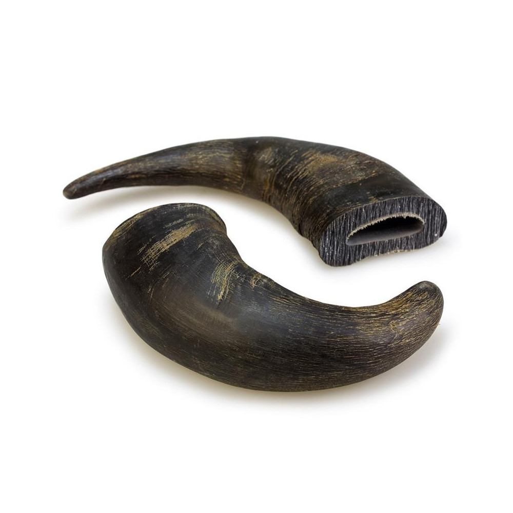 Arquivet Cuerno De Búfalo 20 cm