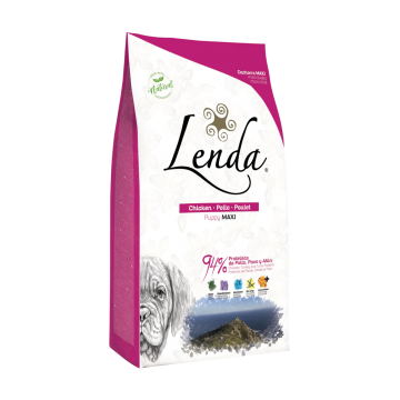 Lenda Original Puppy Maxi 12 Kg