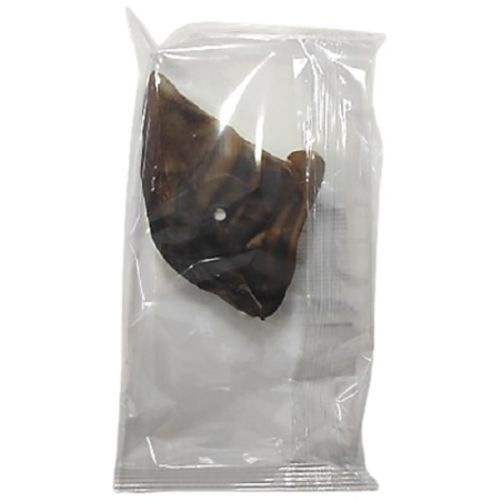 Alpha Spirit Orejas de Cerdo Deshidratadas Talla L