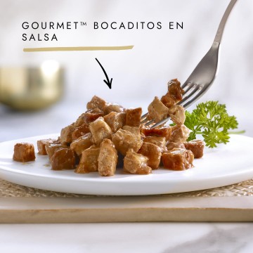 Purina GOURMET GOLD Bocaditos en Salsa con Salmon & Pollo para gatos