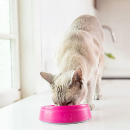 LICKIMAT Cat Oh Bowl