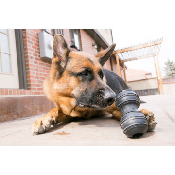 Kong Mordedor Dental para perros Extreme Talla L