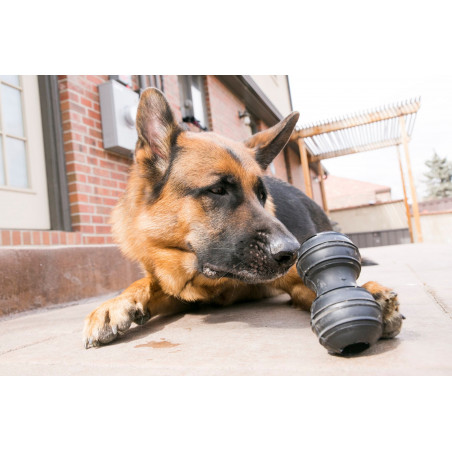 Kong Mordedor Dental para perros Extreme Talla L