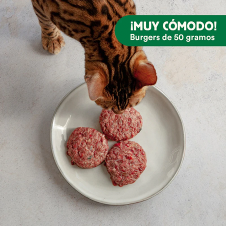 Wild Balance DIETA BARF para GATOS menú completo de SALMÓN