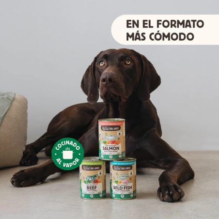 Wild Balance Lata BARF SALMÓN Y TERNERA con Verduras Frescas