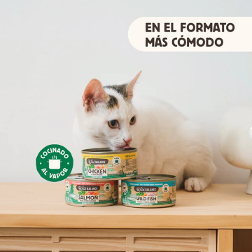 Wild Balance Gato Lata BARF cocinado al vapor PESCADO SALVAJE y PAVO con Verduras Frescas