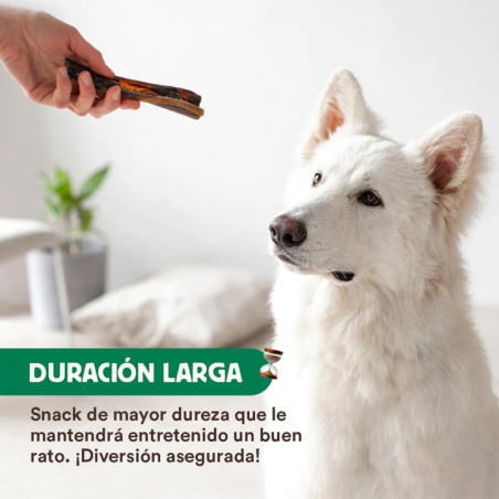 Wild Balance CARAVACA DE CAMELLO Snack para perros