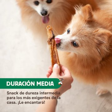 Wild Balance TRÁQUEA DE CORDERO Snack para perros