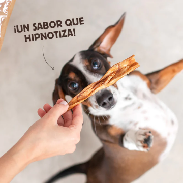 Wild Balance CARAVACA DE CABRA Snack para perros y gatos
