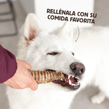 Wild Balance TRÁQUEA DE TERNERA Snack para perros