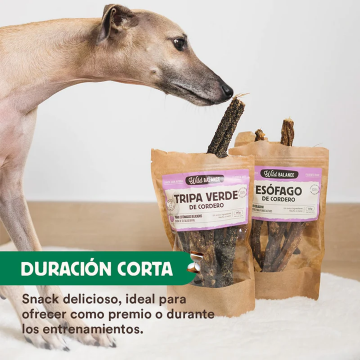 Wild Balance TRIPA VERDE DE CORDERO Snack para perros