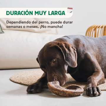 Wild Balance CUERNO DE CABRA Mordedor Natural para perros