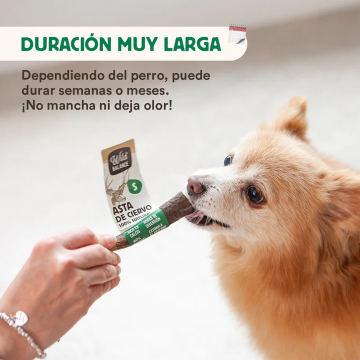 Wild Balance ASTA DE CIERVO ENTERA Mordedor Natural para perros