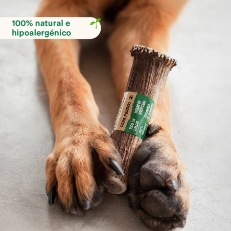 Wild Balance ASTA DE CIERVO ENTERA Mordedor Natural para perros