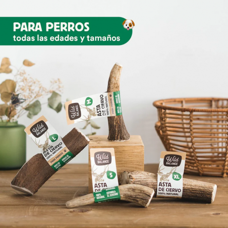 Wild Balance ASTA DE CIERVO ENTERA Mordedor Natural para perros